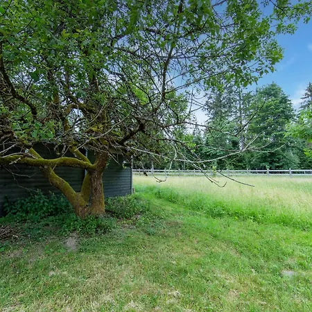 Rennsteig Trail Family Escape, Cleaning Included *
